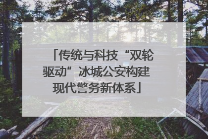 传统与科技“双轮驱动”冰城公安构建现代警务新体系