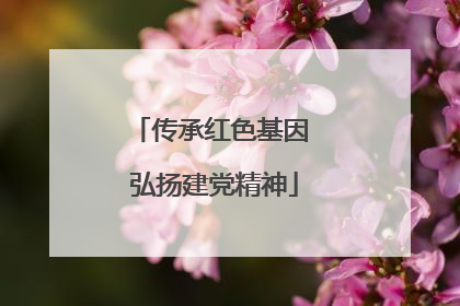 传承红色基因 弘扬建党精神