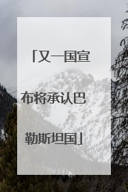又一国宣布将承认巴勒斯坦国