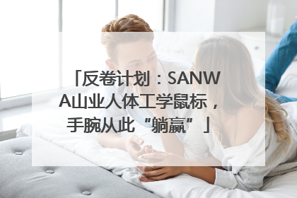 反卷计划：SANWA山业人体工学鼠标，手腕从此“躺赢”