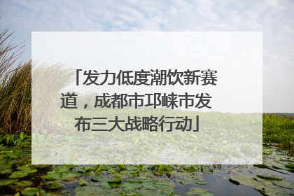 发力低度潮饮新赛道，成都市邛崃市发布三大战略行动
