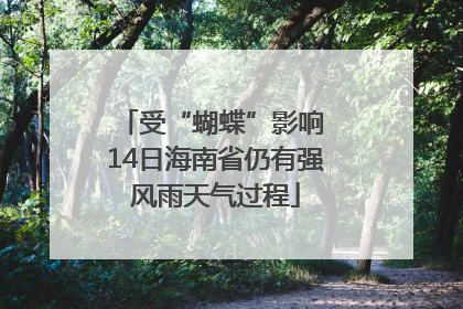 受“蝴蝶”影响 14日海南省仍有强风雨天气过程