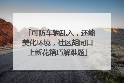 可防车辆乱入，还能美化环境，社区胡同口上新花箱巧解难题
