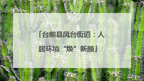 台前县凤台街道：人居环境“焕”新颜