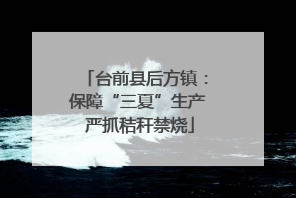 台前县后方镇：保障“三夏”生产 严抓秸秆禁烧