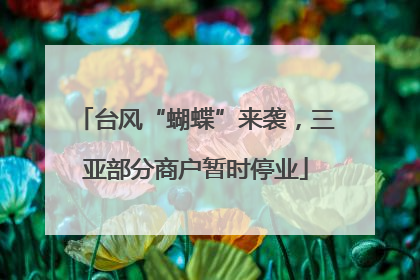 台风“蝴蝶”来袭，三亚部分商户暂时停业