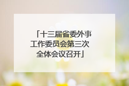 十三届省委外事工作委员会第三次全体会议召开