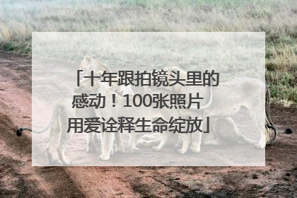 十年跟拍镜头里的感动！100张照片用爱诠释生命绽放