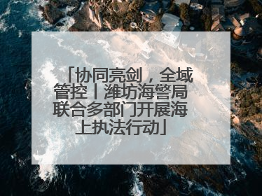 协同亮剑，全域管控丨潍坊海警局联合多部门开展海上执法行动
