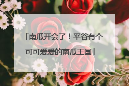 南瓜开会了！平谷有个可可爱爱的南瓜王国