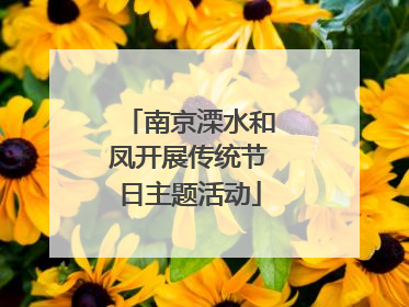 南京溧水和凤开展传统节日主题活动