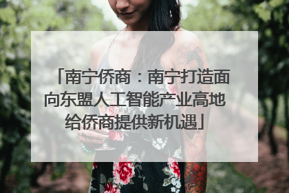 南宁侨商：南宁打造面向东盟人工智能产业高地给侨商提供新机遇