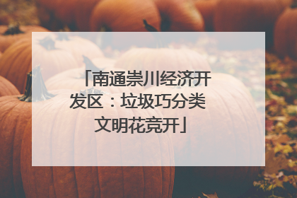 南通崇川经济开发区：垃圾巧分类 文明花竞开