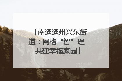 南通通州兴东街道：网格“智”理 共建幸福家园