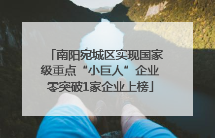 南阳宛城区实现国家级重点“小巨人”企业零突破1家企业上榜