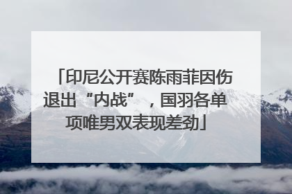 印尼公开赛陈雨菲因伤退出“内战”，国羽各单项唯男双表现差劲