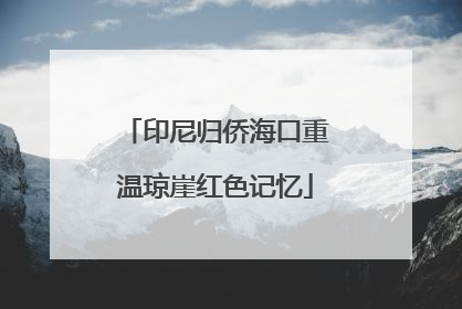 印尼归侨海口重温琼崖红色记忆