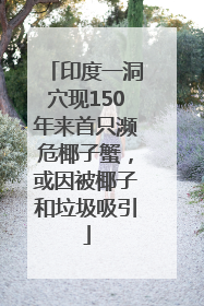 印度一洞穴现150年来首只濒危椰子蟹，或因被椰子和垃圾吸引