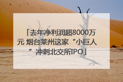 去年净利润超8000万元 烟台莱州这家“小巨人”冲刺北交所IPO