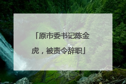 原市委书记陈金虎，被责令辞职
