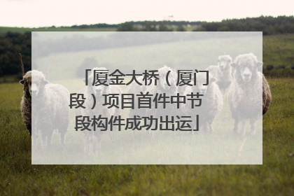厦金大桥（厦门段）项目首件中节段构件成功出运