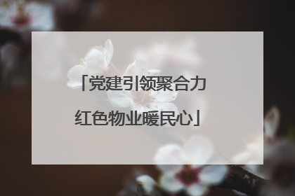 党建引领聚合力 红色物业暖民心