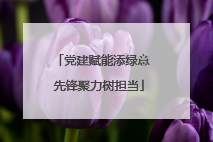 党建赋能添绿意 先锋聚力树担当