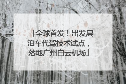全球首发！出发层泊车代驾技术试点，落地广州白云机场
