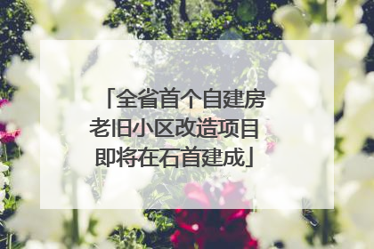 全省首个自建房老旧小区改造项目即将在石首建成