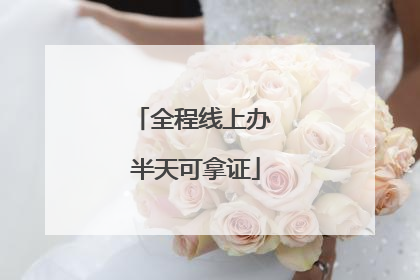 全程线上办 半天可拿证