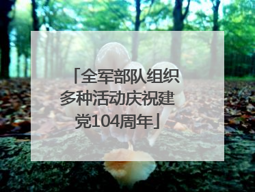 全军部队组织多种活动庆祝建党104周年