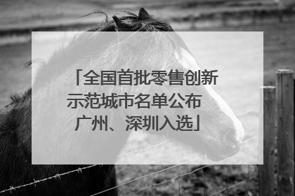 全国首批零售创新示范城市名单公布 广州、深圳入选