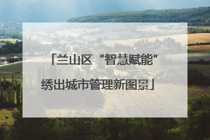 兰山区“智慧赋能”绣出城市管理新图景