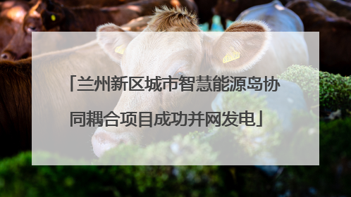 兰州新区城市智慧能源岛协同耦合项目成功并网发电