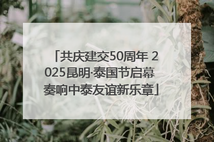 共庆建交50周年 2025昆明·泰国节启幕 奏响中泰友谊新乐章