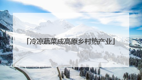 冷凉蔬菜成高原乡村热产业