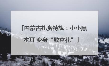 内蒙古扎赉特旗：小小黑木耳 变身“致富花”