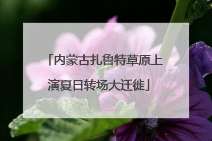 内蒙古扎鲁特草原上演夏日转场大迁徙