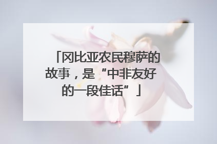 冈比亚农民穆萨的故事，是“中非友好的一段佳话”