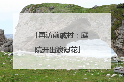 再访前戚村：庭院开出浪漫花