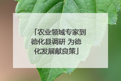 农业领域专家到德化县调研 为德化发展献良策