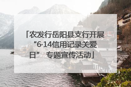 农发行岳阳县支行开展“6·14信用记录关爱日” 专题宣传活动
