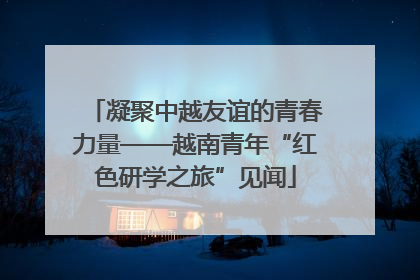 凝聚中越友谊的青春力量——越南青年“红色研学之旅”见闻
