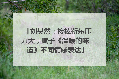 刘昊然：接棒靳东压力大，赋予《温暖的味道》不同情感表达
