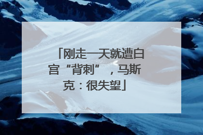 刚走一天就遭白宫“背刺”，马斯克：很失望