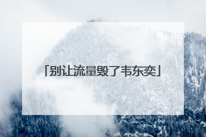 别让流量毁了韦东奕