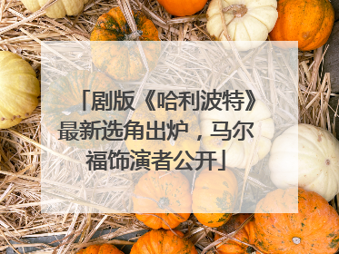 剧版《哈利波特》最新选角出炉，马尔福饰演者公开