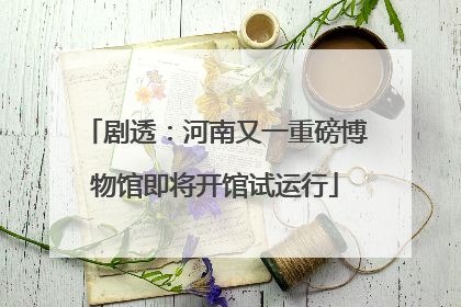 剧透：河南又一重磅博物馆即将开馆试运行