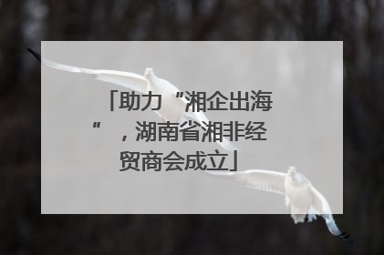 助力“湘企出海”，湖南省湘非经贸商会成立
