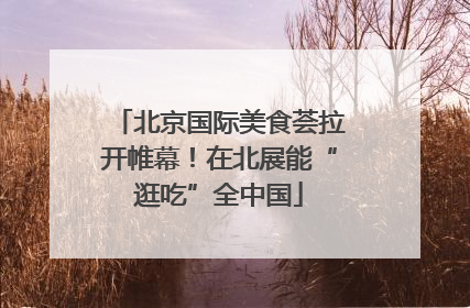 北京国际美食荟拉开帷幕！在北展能“逛吃”全中国